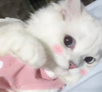 吃完饭外出散步的幸福说说 饭后悠闲的散步的语录 吃完饭外出散步的幸福说说 饭后悠闲的散步的语录