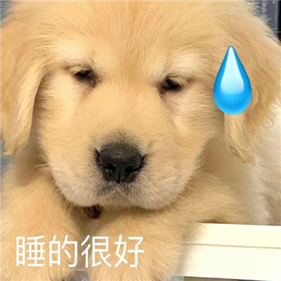 超阔爱的微信狗子表情 给爷来点生活费