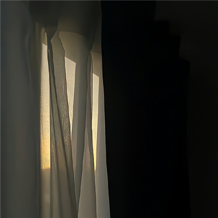 2024俏皮背景图新版高清大全 和我一起奔向玫瑰园吧