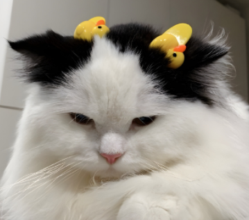 简单日常朋友圈文案短句 独特的日常文案干净 简单日常朋友圈文案短句 独特的日常文案干净