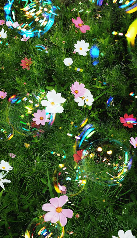 全面屏无水印壁纸人气超高大全 高人气高质量的唯美皮肤2024