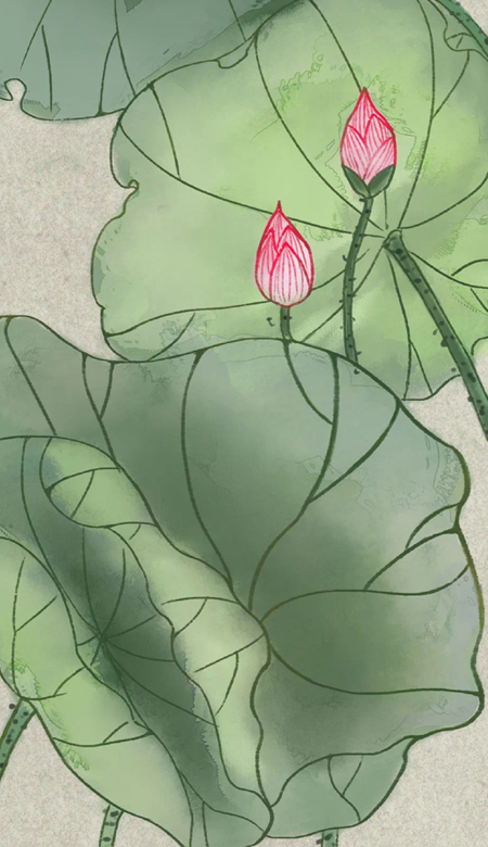 高清超绝的壁纸大全新版 撑把破伞还不如淋雨