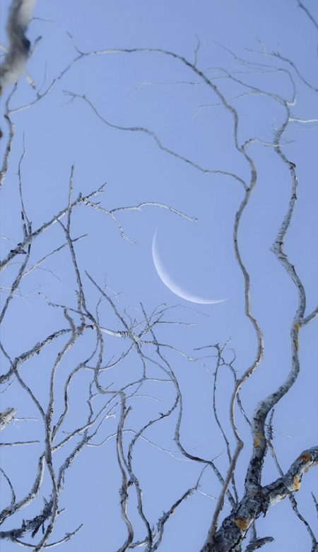 用起来很高级的温柔壁纸大全 美到你心尖尖上的壁纸