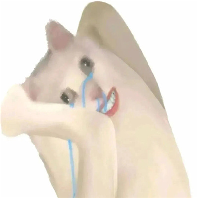 丑猫爆笑嘲讽表情包 好笑又好用的特色表情2024新版合集