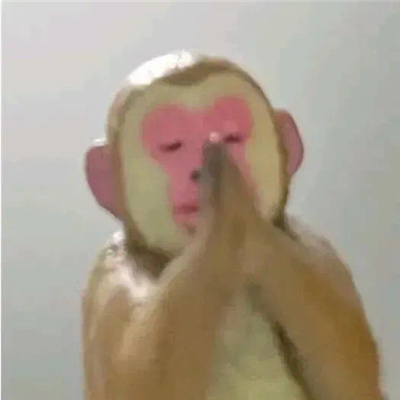 发誓不再哭有病表情包 搞怪版的特色表情合集