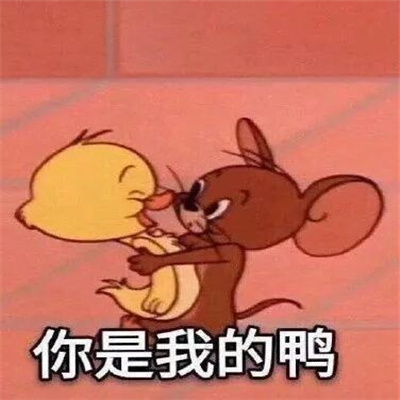 聊天必备沙雕表情包 只要闭上眼就看不见脏东西