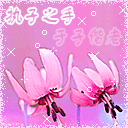 情人节礼物&mdash;&mdash;恋爱蜜语