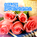 情人节礼物&mdash;&mdash;恋爱蜜语